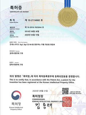 Áø¼¼³ë»çÀ̵å Rg3, Rg5 ¹× Rk1À» ÇÔÀ¯ÇÏ´Â ÁÖ¸§ °³¼±¿ë ÈÀå·á