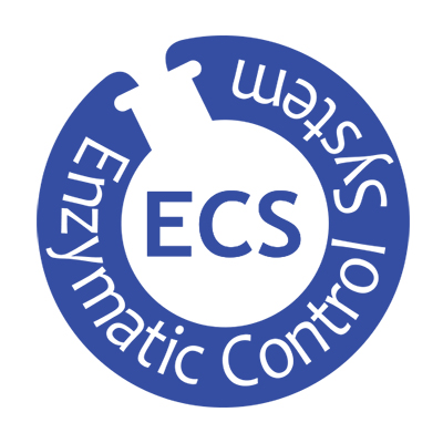 ECS �ý���