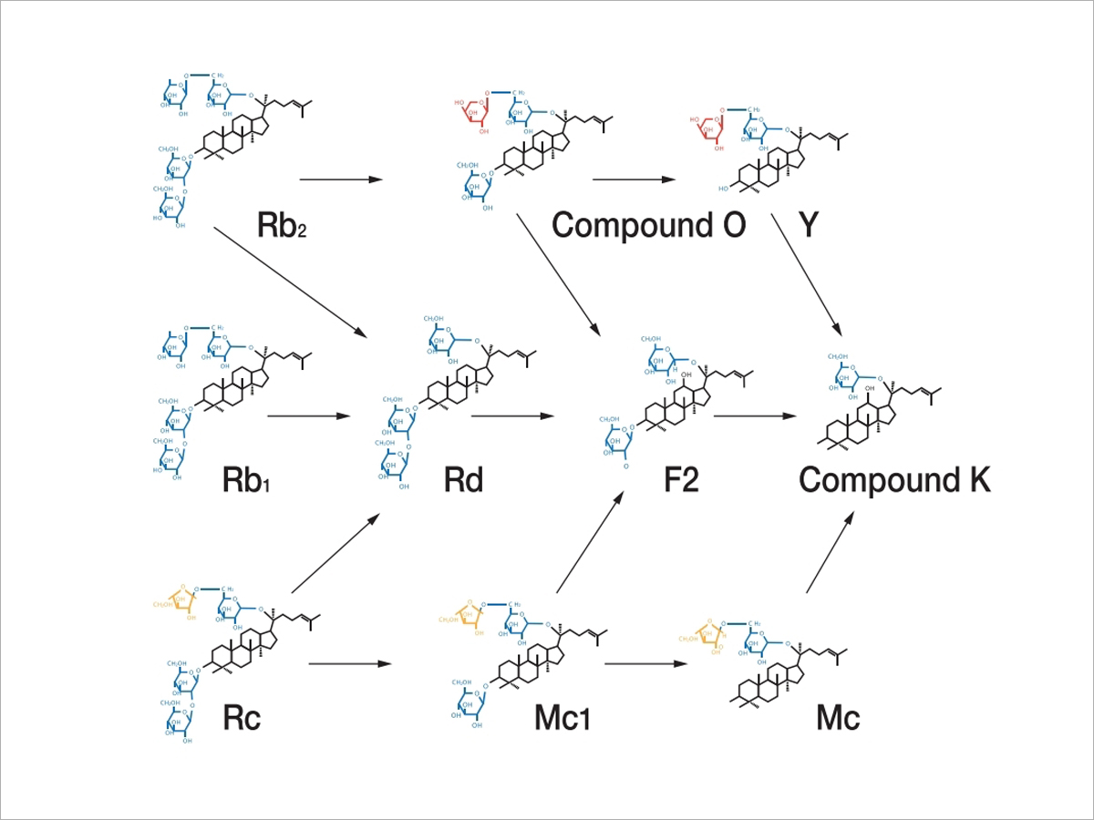 ������ ��ȯ ���� �����׷���